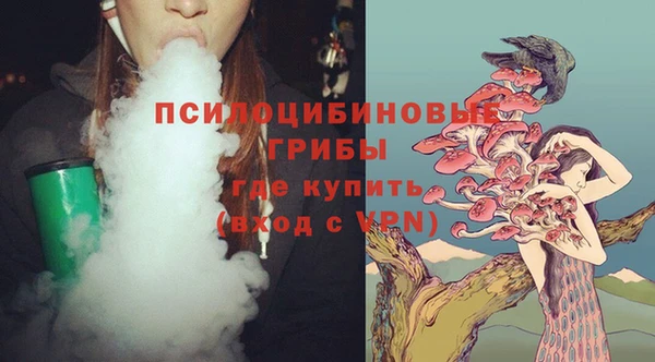 ешки Армянск