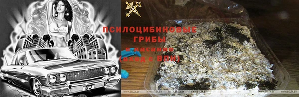 ешки Армянск