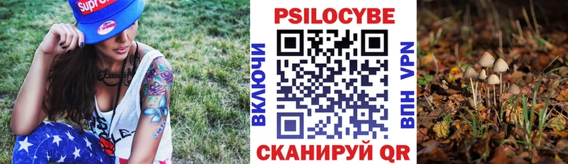 Псилоцибиновые грибы MAGIC MUSHROOMS  Пучеж 