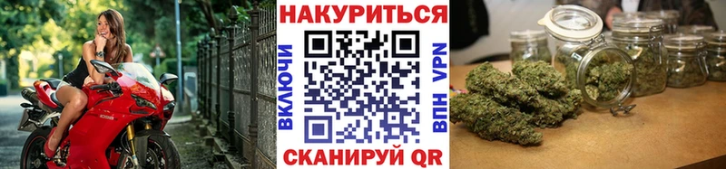 Конопля Ganja Пучеж